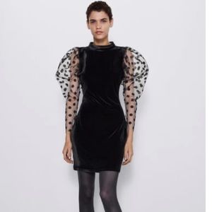 Zara Velvet Dotted Mesh Dress